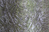 Curtisknowle fibreglass roof work