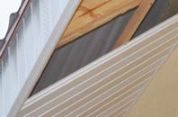 rated Curtisknowle soffit repair companies